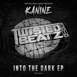 Cover of Into The Dark