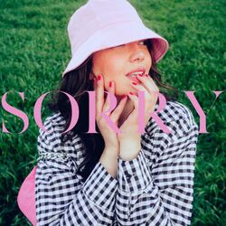 Cover of Sorry
