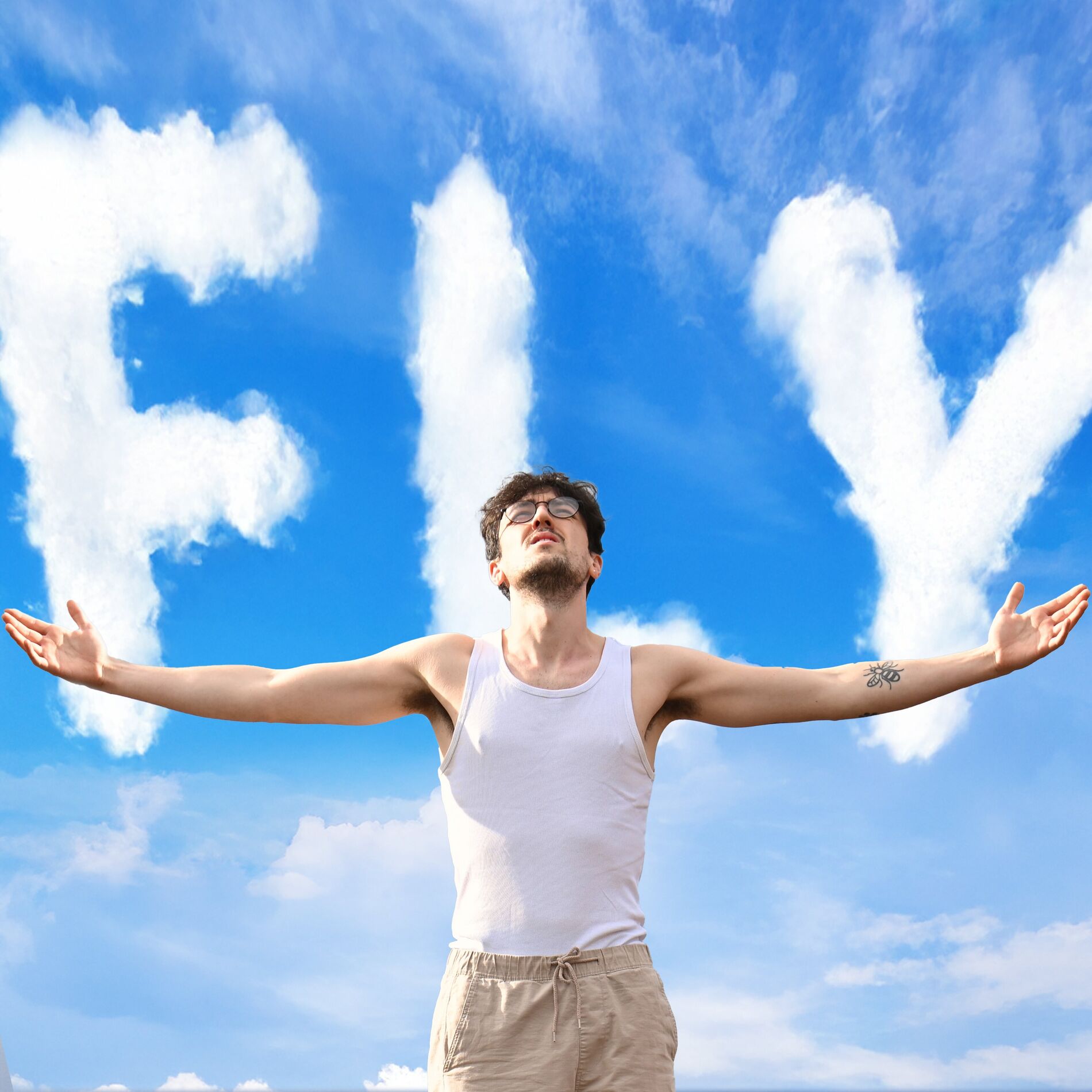 Album cover of Fly