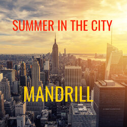 Cover of Summer in the City