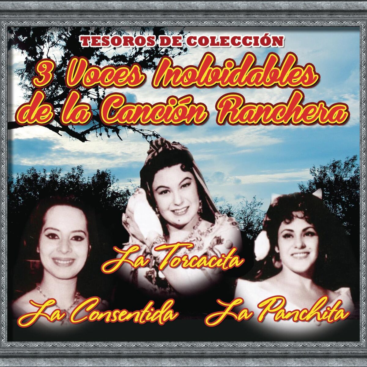 Album cover of Tesoros de Colección - la Torcacita - la Panchita - la Consentida