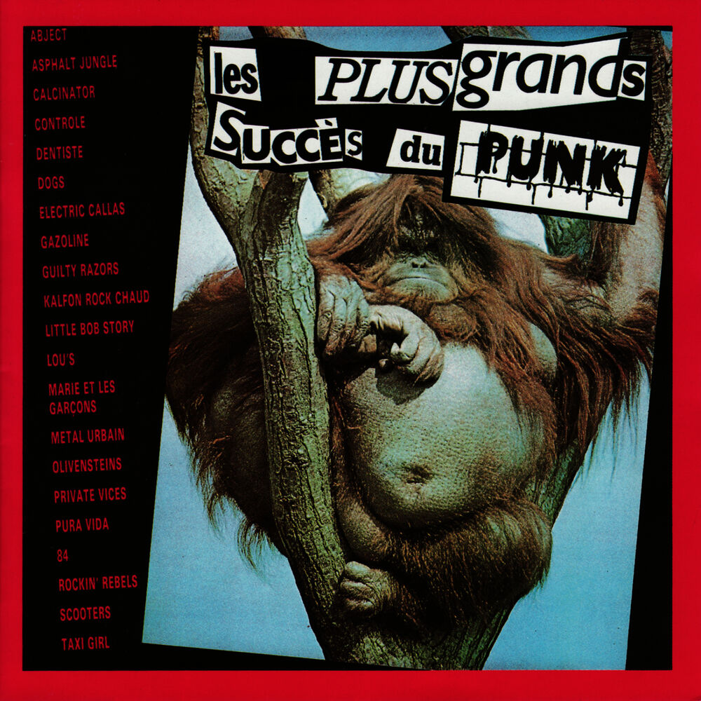Picture of Les Plus Grands Succes du Punk