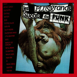 Cover of Les Plus Grands Succes du Punk