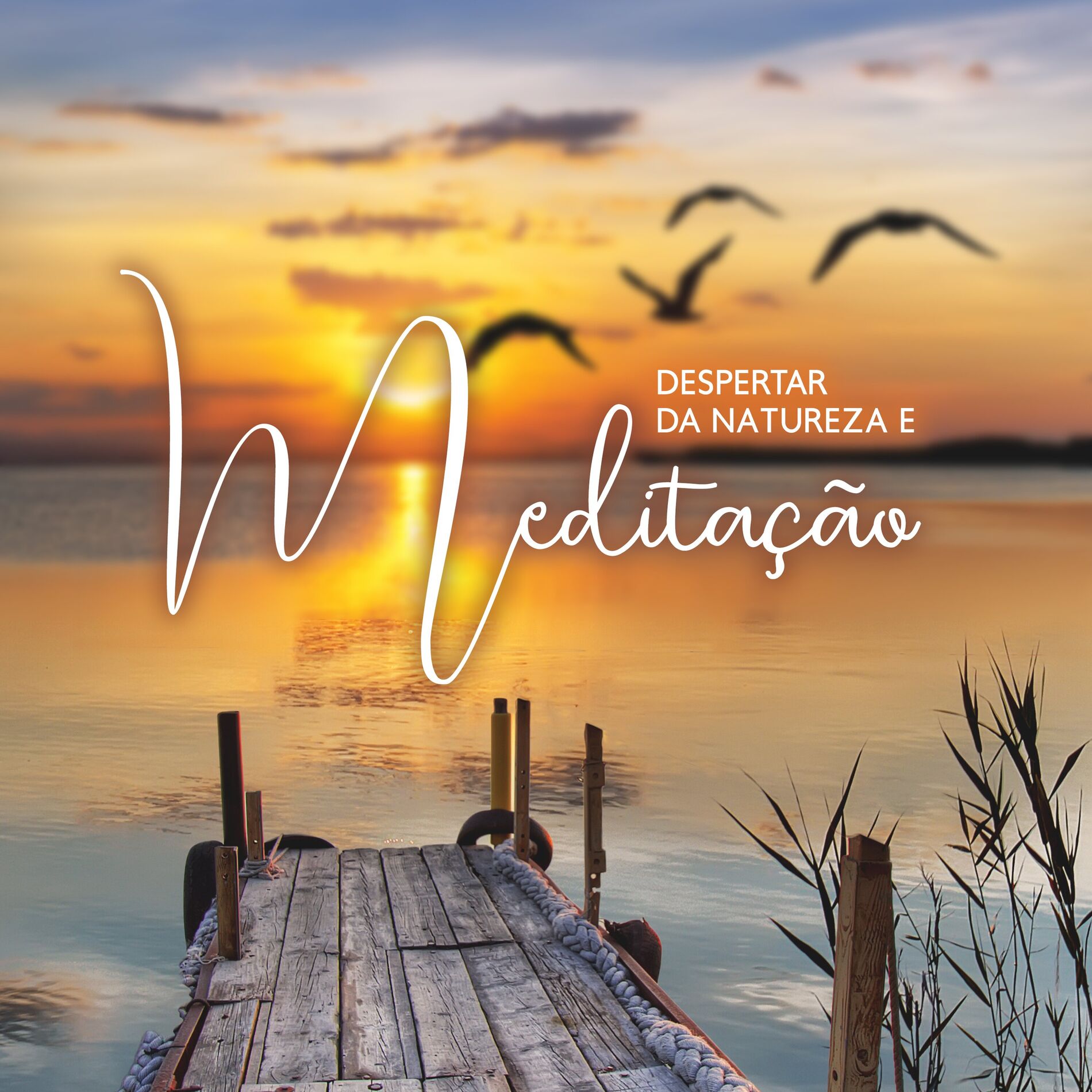 Album cover of Meditar Calma