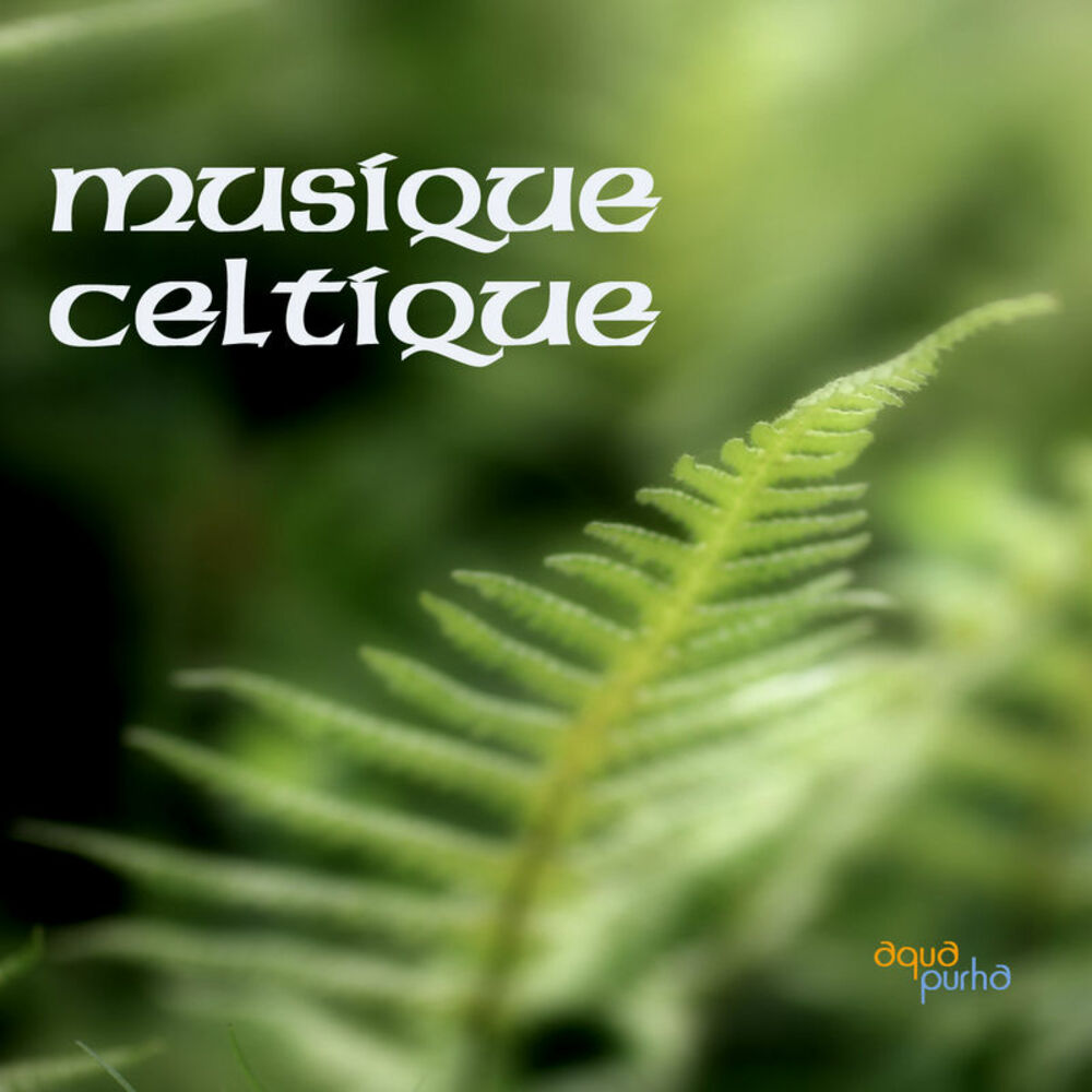 Picture of Musique Celtique, Musique Irlandaise Celtique à la Harpe Celtique