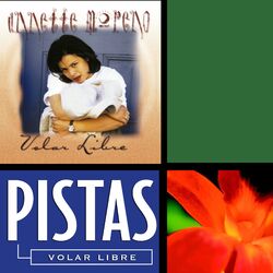 Cover of Volar Libre (Pistas)