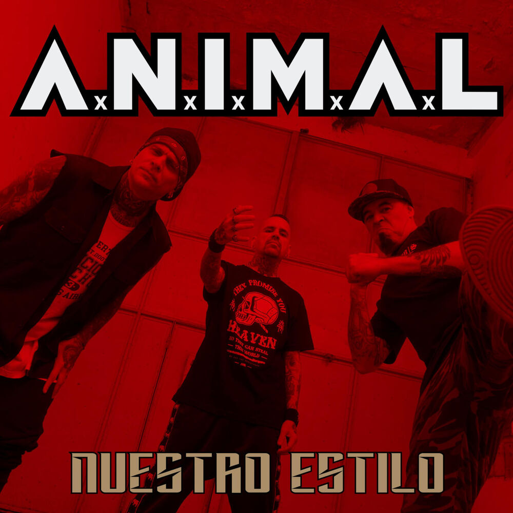 Picture of Nuestro Estilo