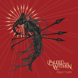 Cover of Fracture