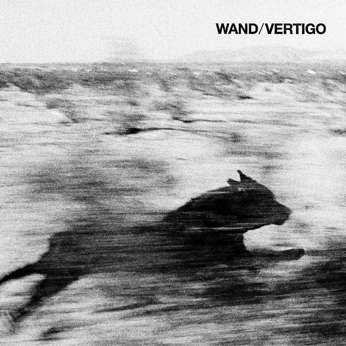 Album cover of Vertigo