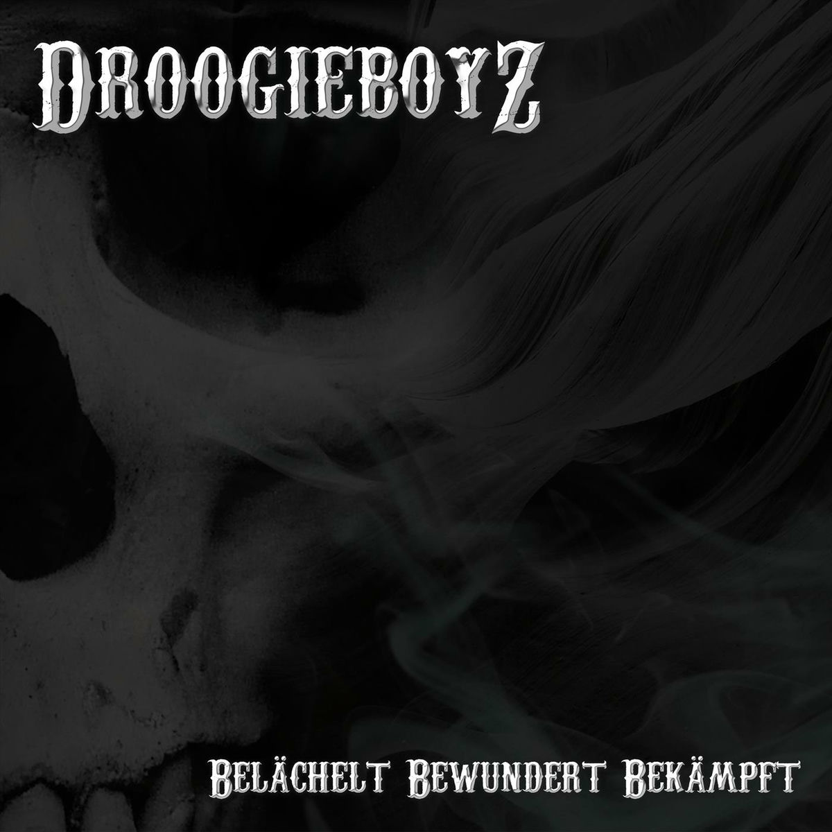 Album cover of Belächelt Bewundert Bekämpft