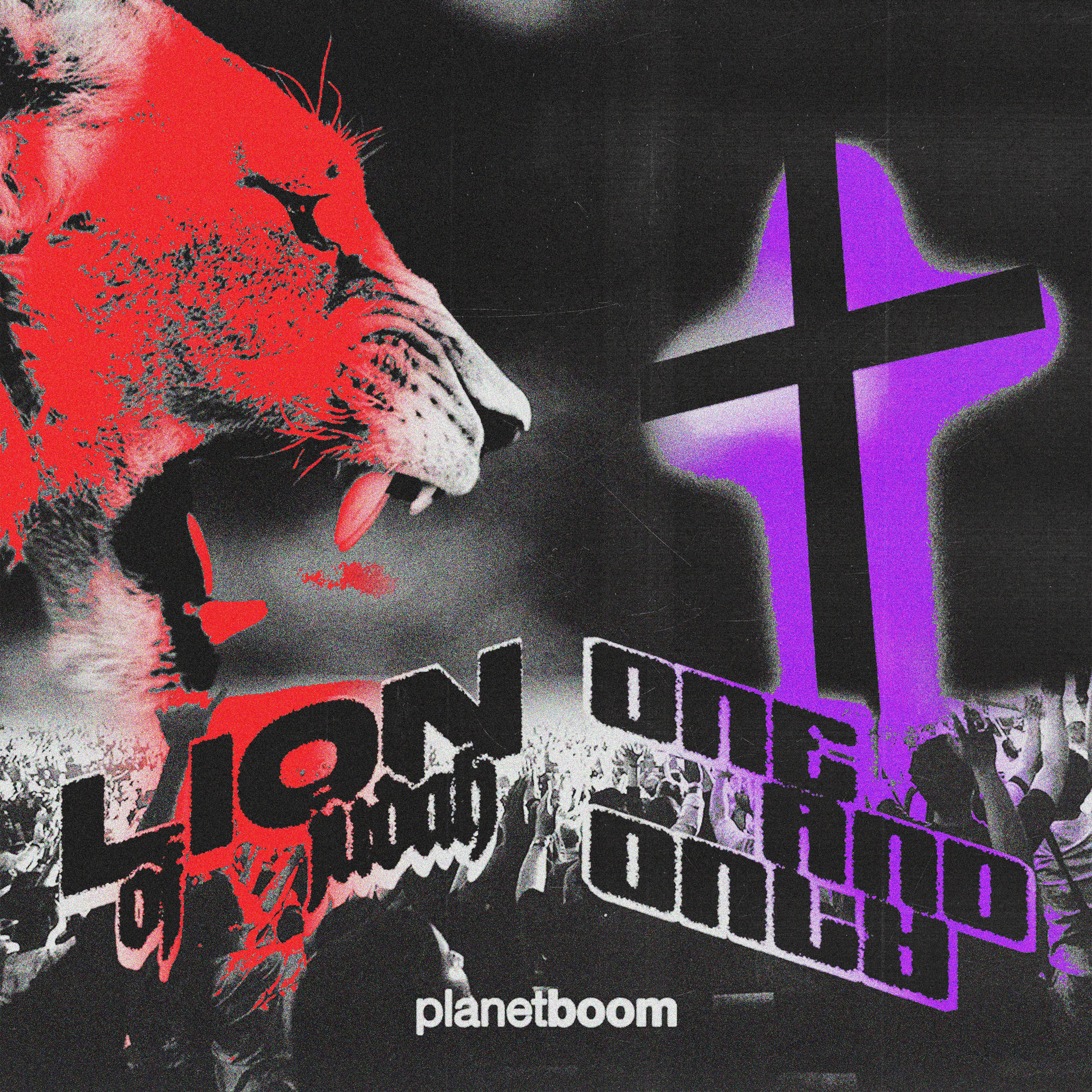 Album cover of Lion of Judah