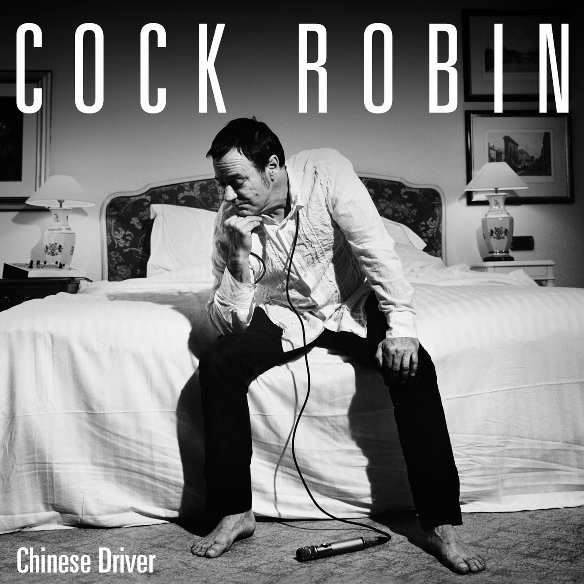 Album cover of Chinese Driver