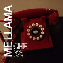 Cover of Me llama