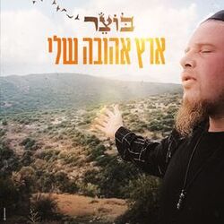 Cover of ארץ אהובה שלי
