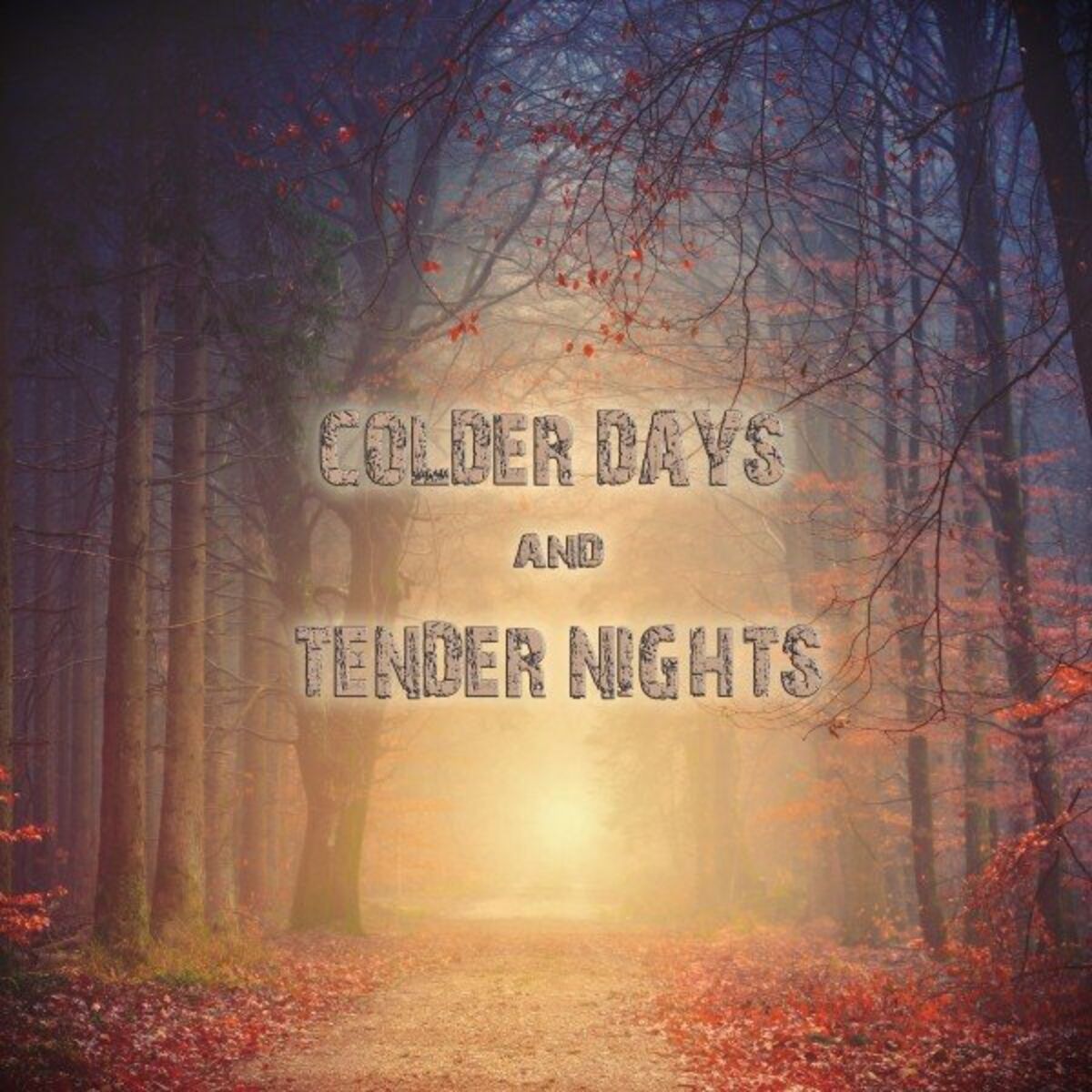Album cover of Colder Days & Tender Nights (Songs & Instrumentals for Lovers)