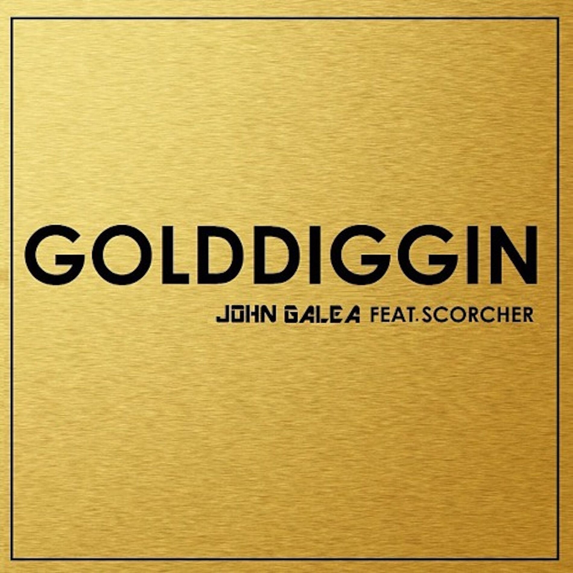 Album cover of Golddiggin