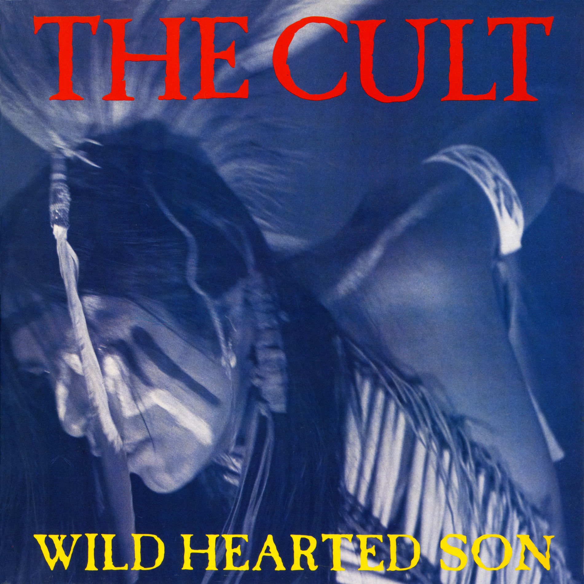 Album cover of Wild Hearted Son