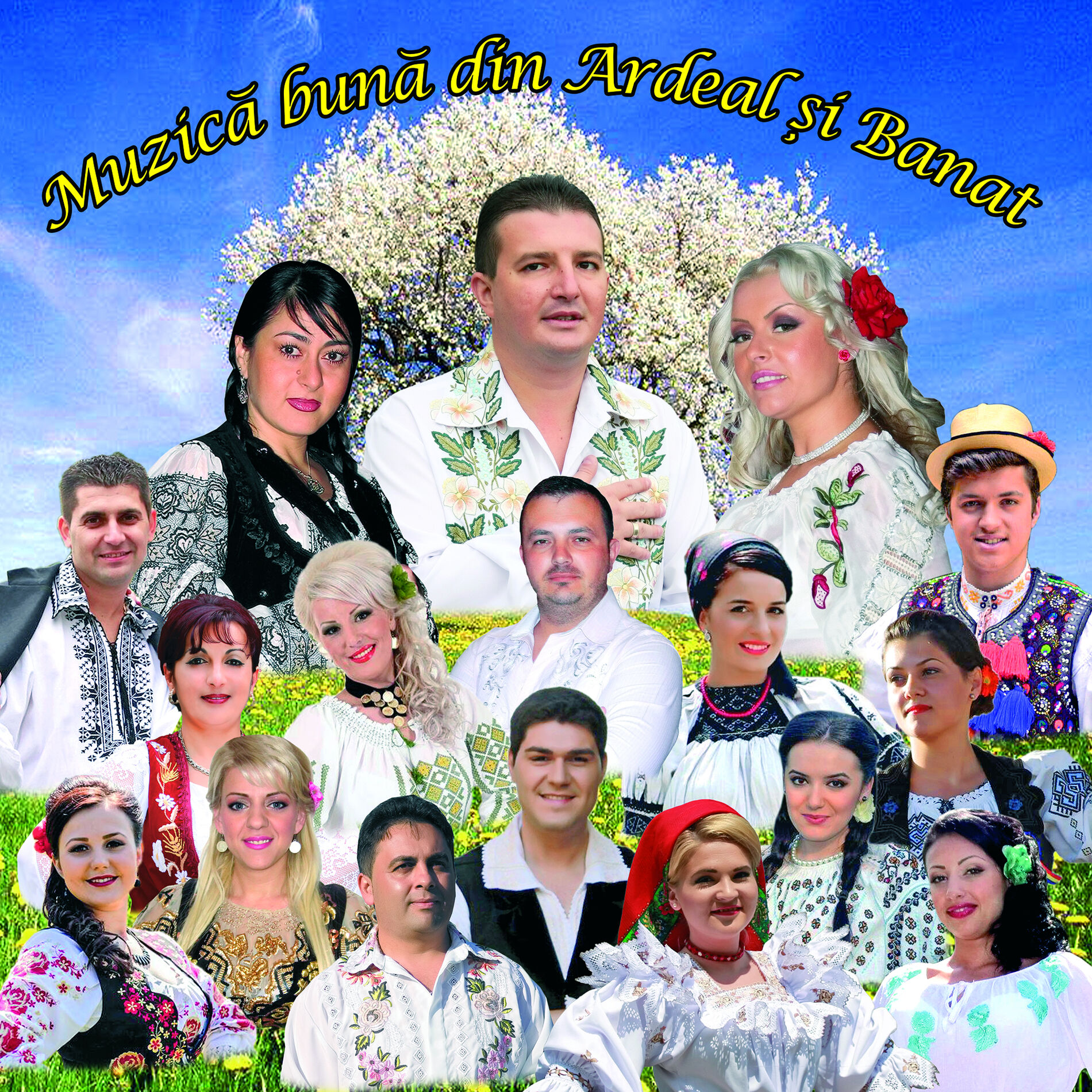 Album cover of Muzică Bună Din Ardeal Și Banat