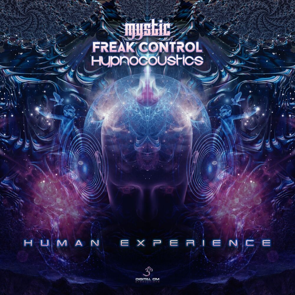 Picture of Human Experience