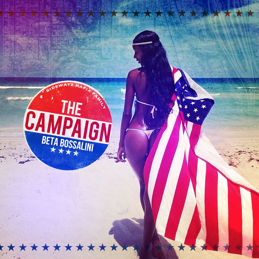 Picture of The Campaign