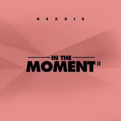 Cover of In the Moment II