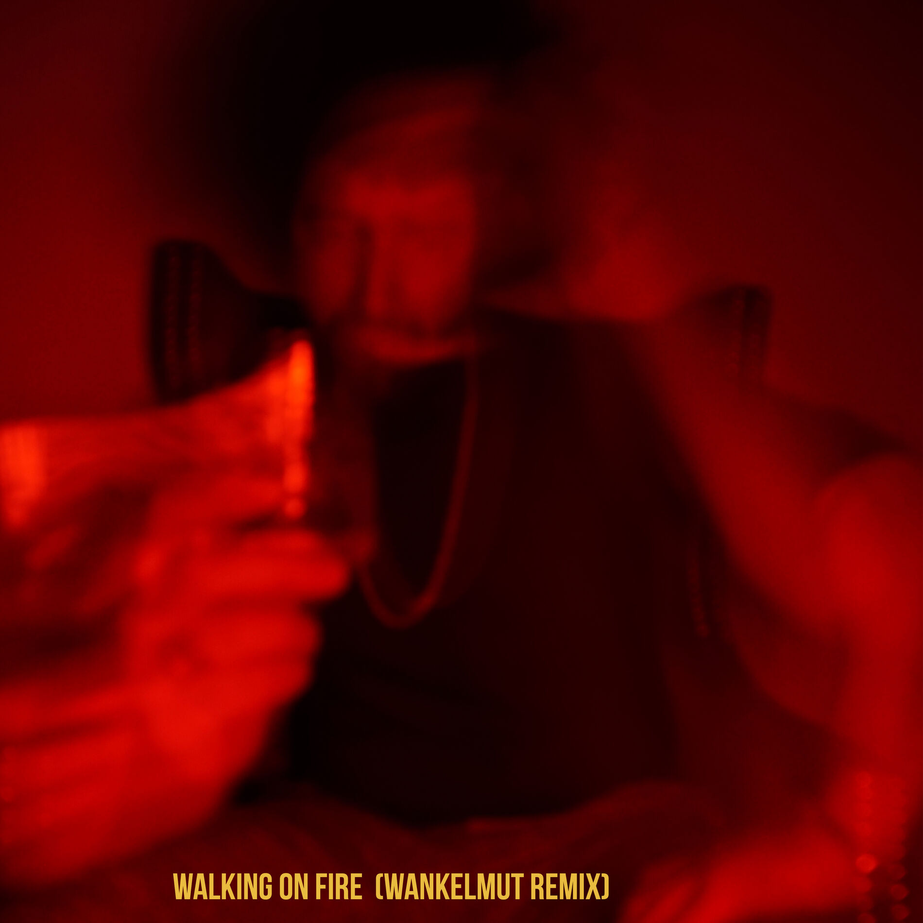 Album cover of Walking On Fire (Wankelmut Remix)
