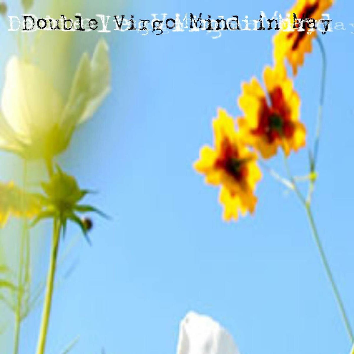 Album cover of Mind in May