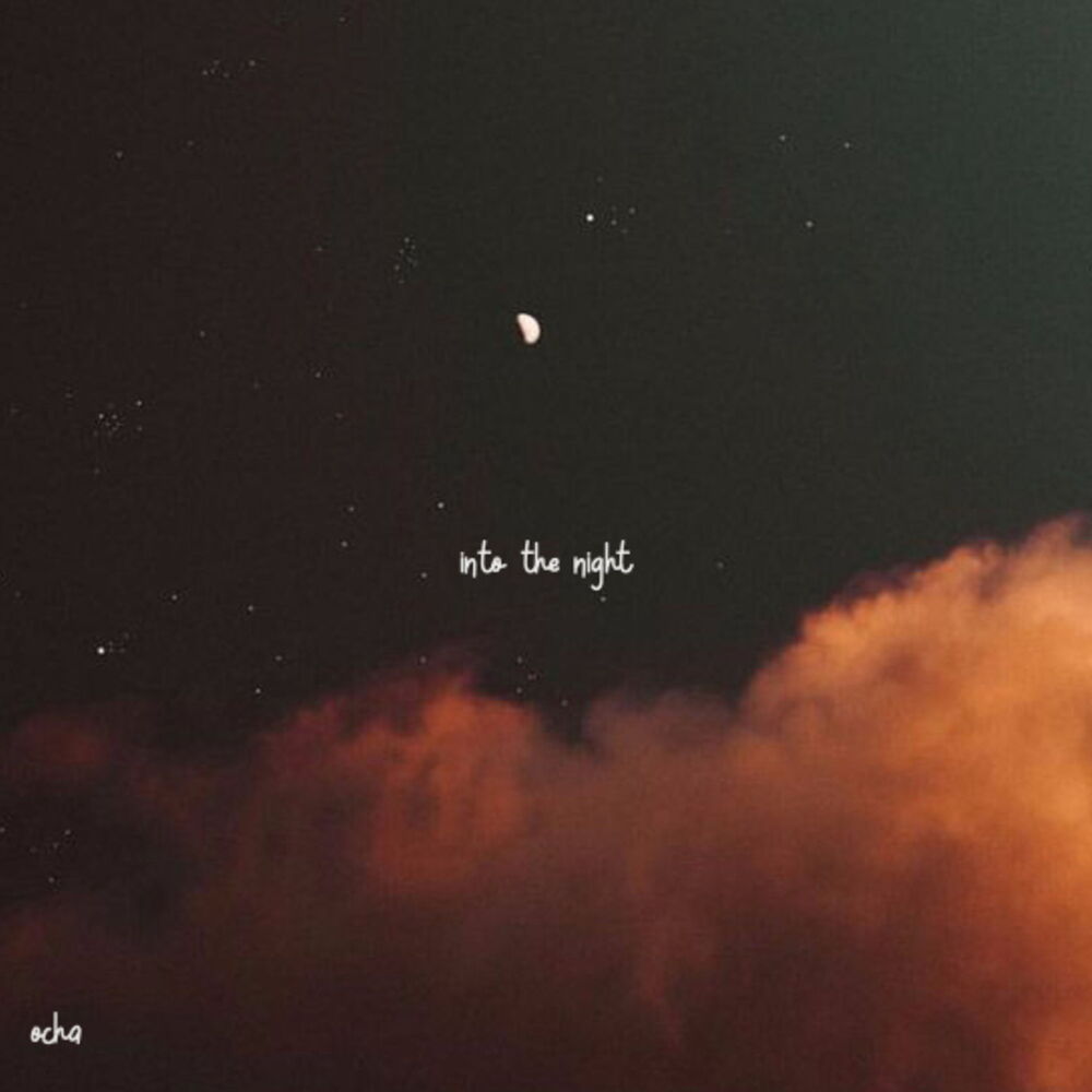 Picture of into the night