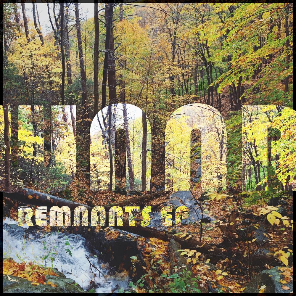 Picture of REMNANTS