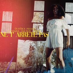 Cover of Ne t'arrêtes pas