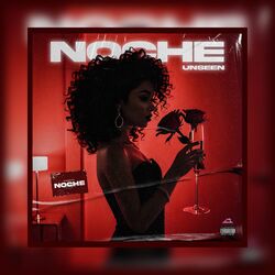 Cover of Noche