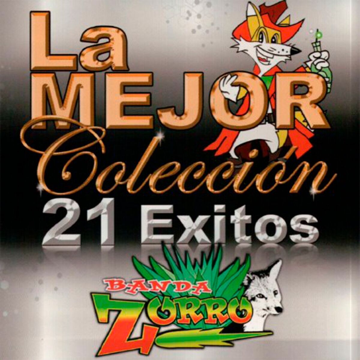 Album cover of La Mejor Colección: 21 Exitos