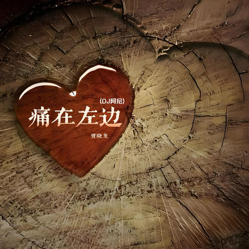 痛在左边 (DJ阿尼版)