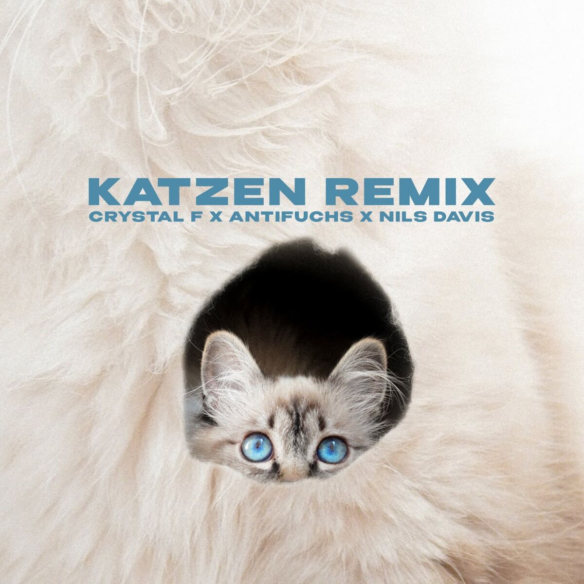 Album cover of Katzen (Remix)