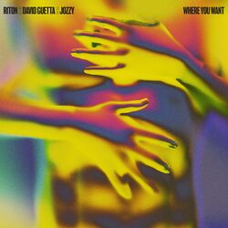Cover of Where You Want