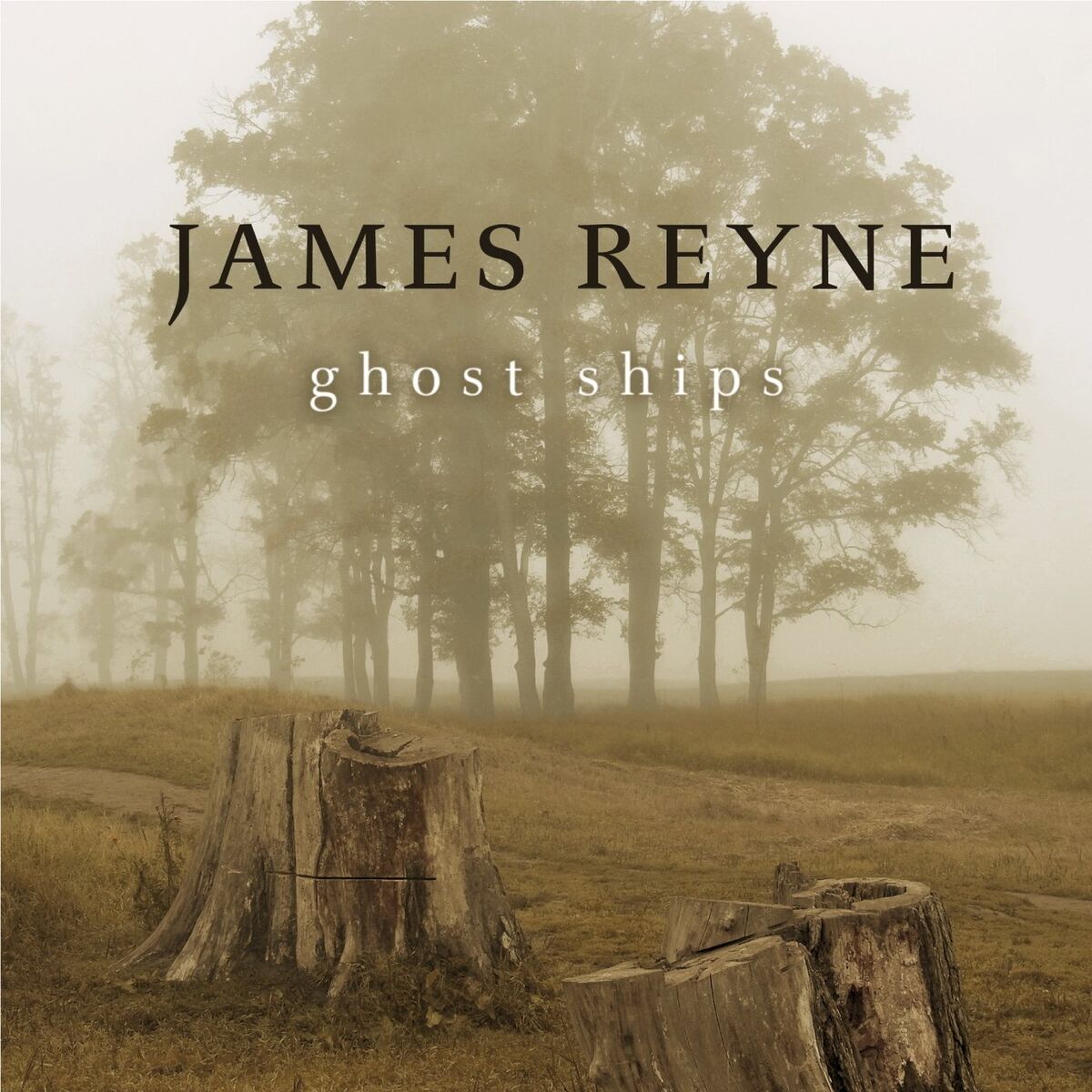 Album cover of Ghost Ships