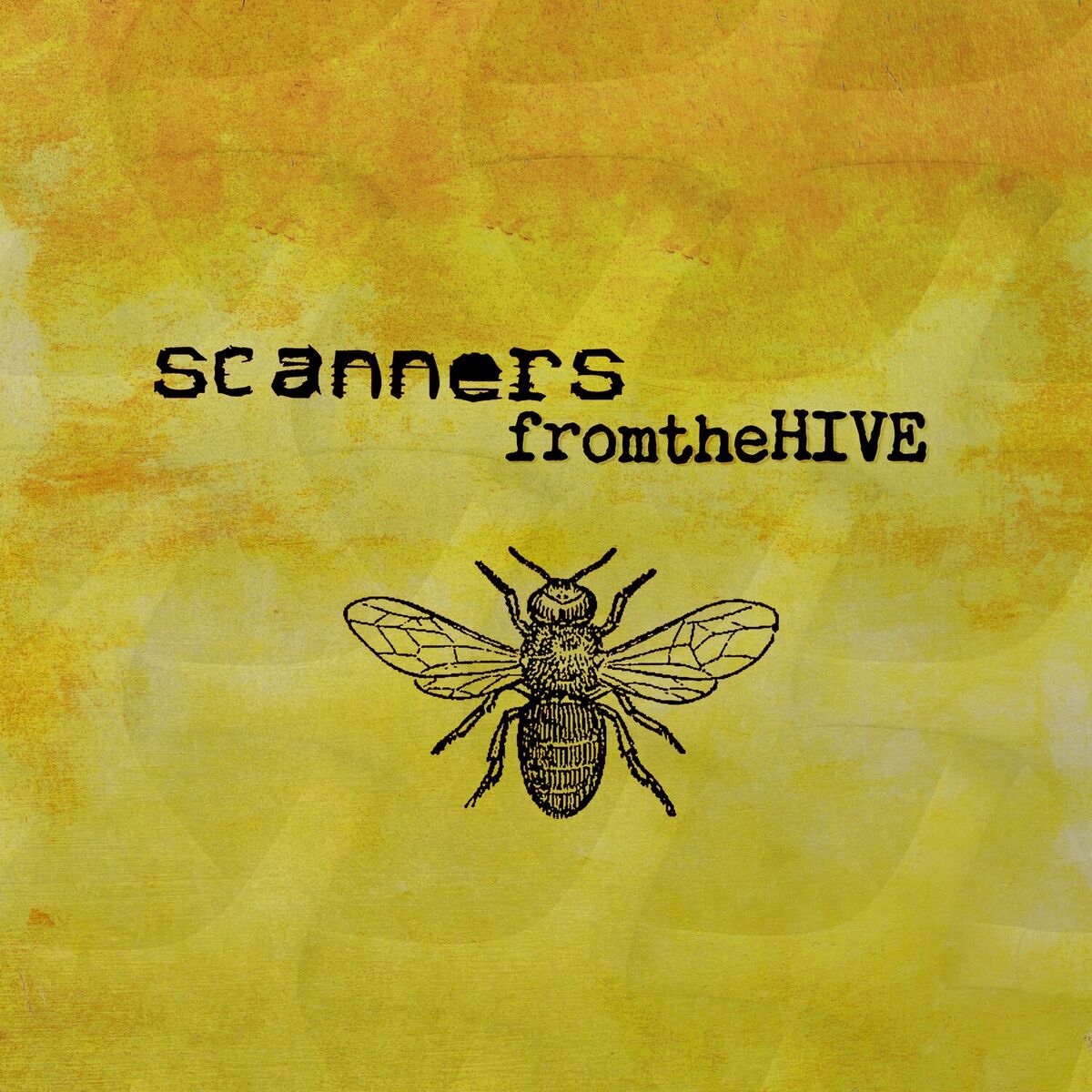 Album cover of From The Hive