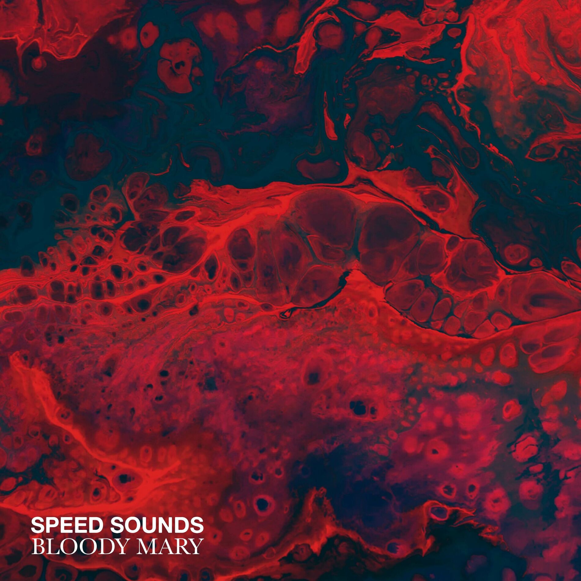 Album cover of Bloody Mary