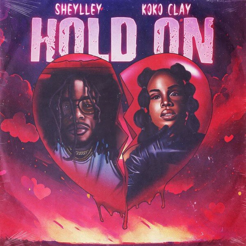 Pochette du titre Hold On