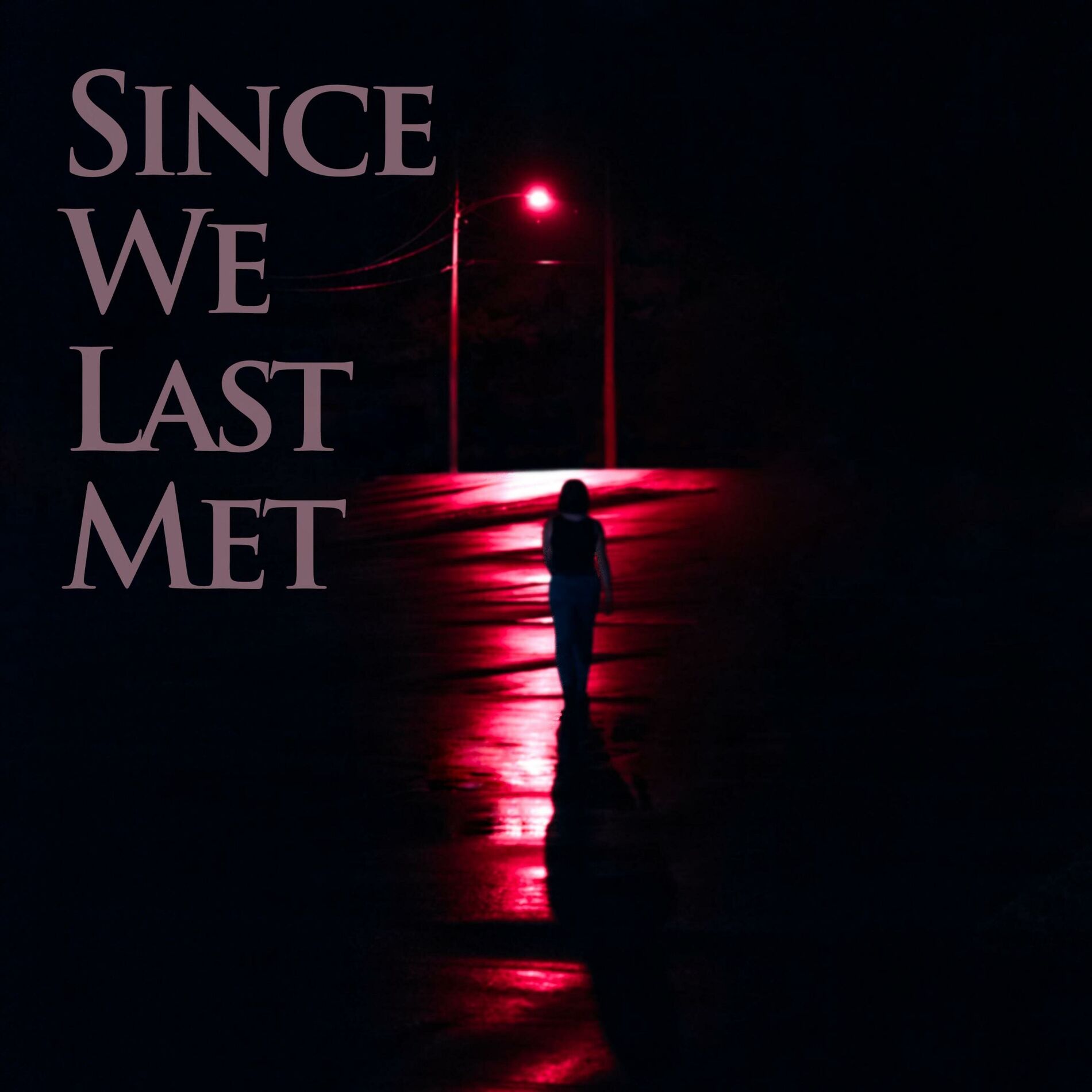 Album cover of Since We Last Met