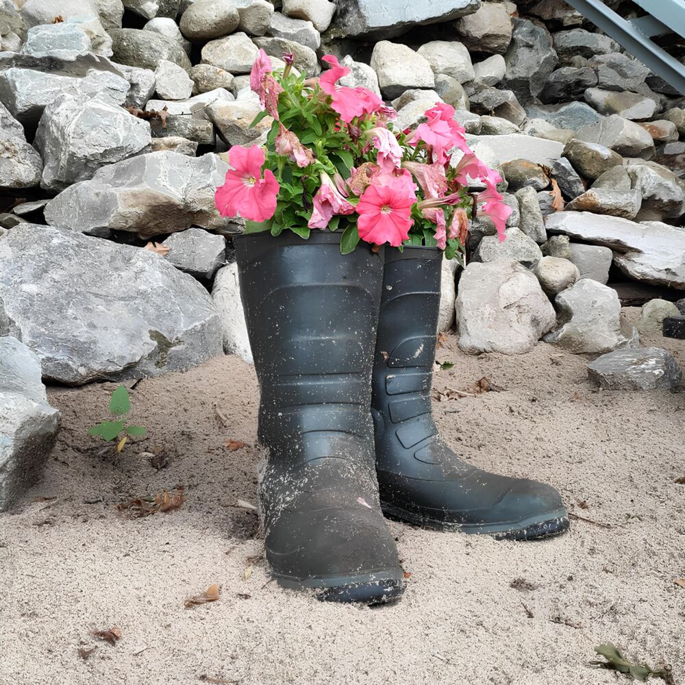 Picture of Spring