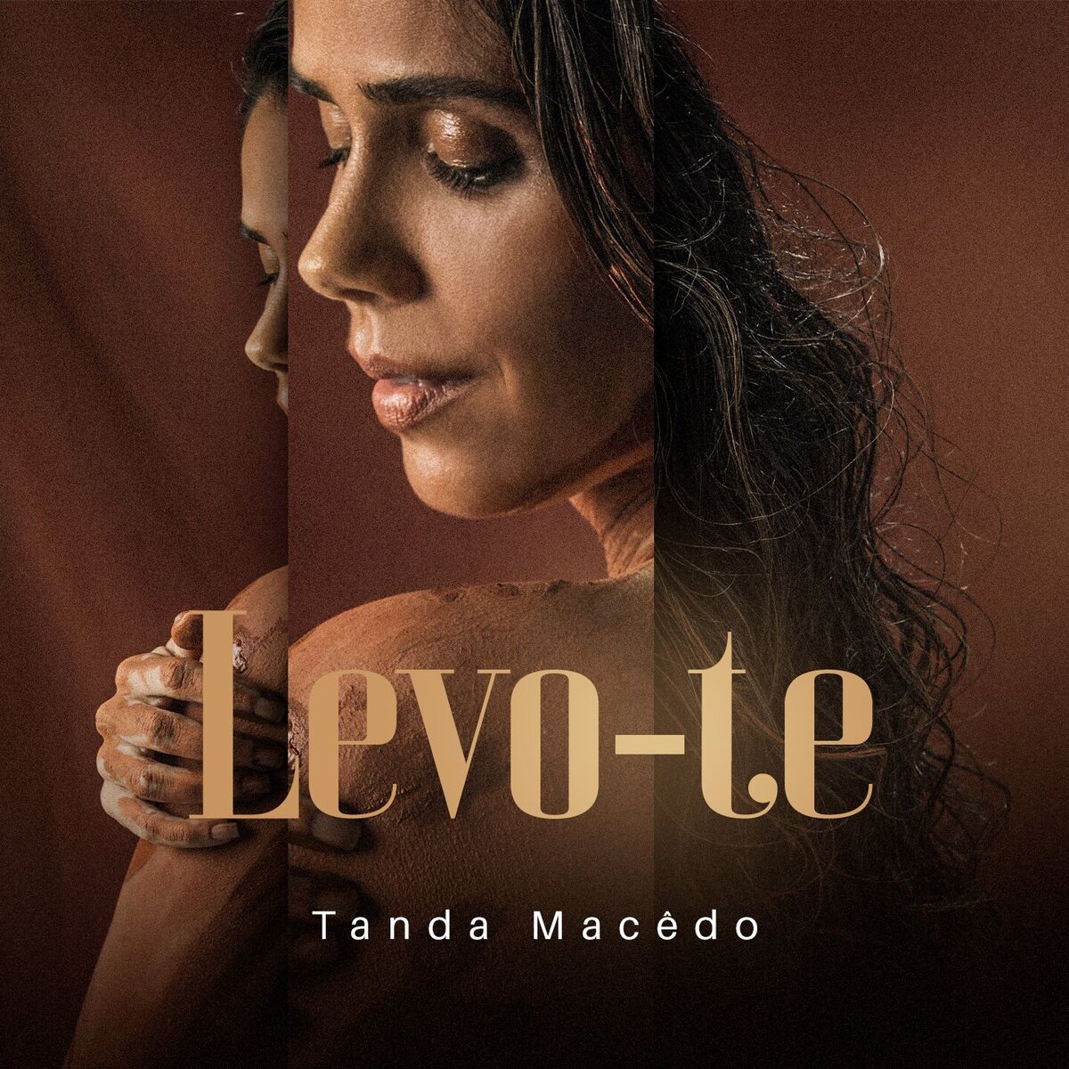 Album cover of Levo-te