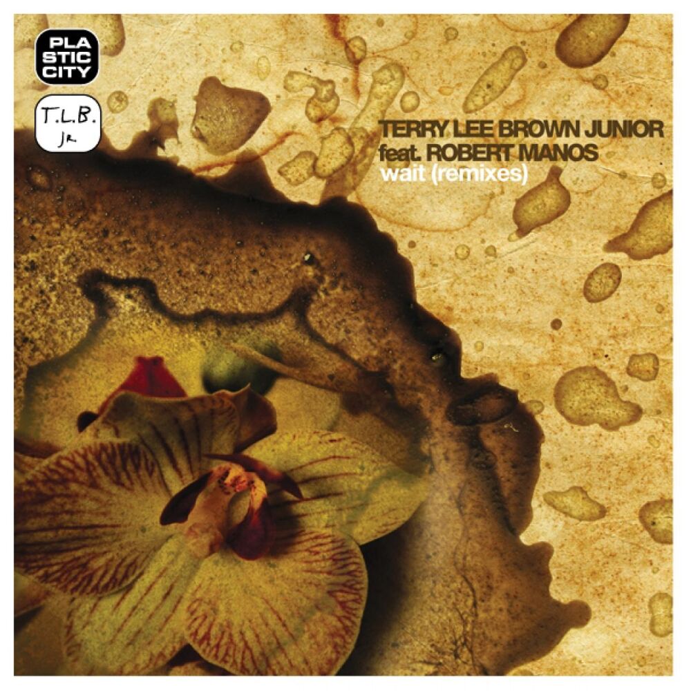 Picture of Terry Lee Brown Junior feat. Robert Manos - Wait (Remixes) (MP3 Single)