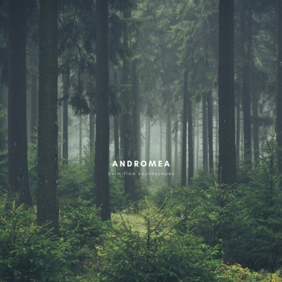 Album cover of Calm Flow Soundscapes
