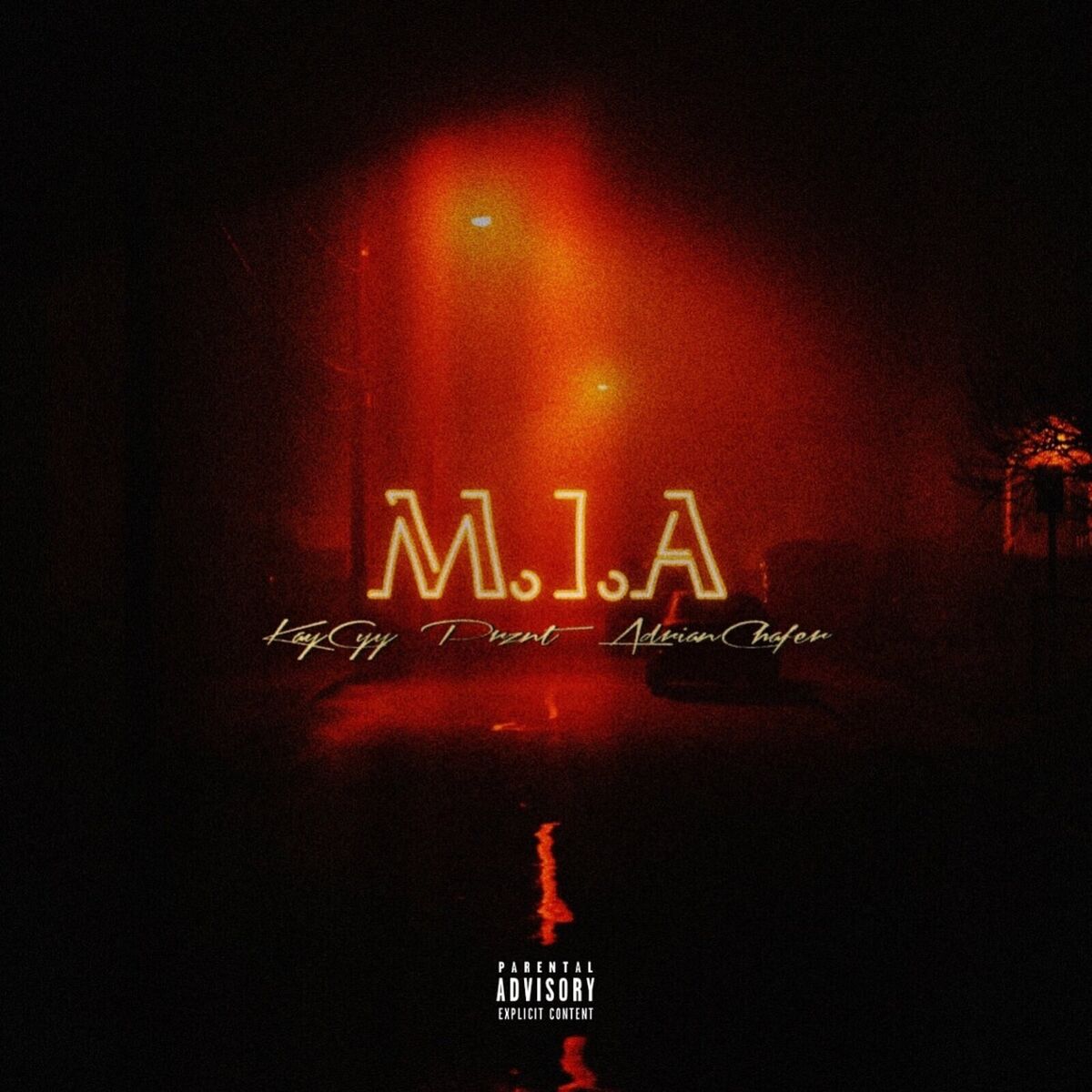 Album cover of M.I.A