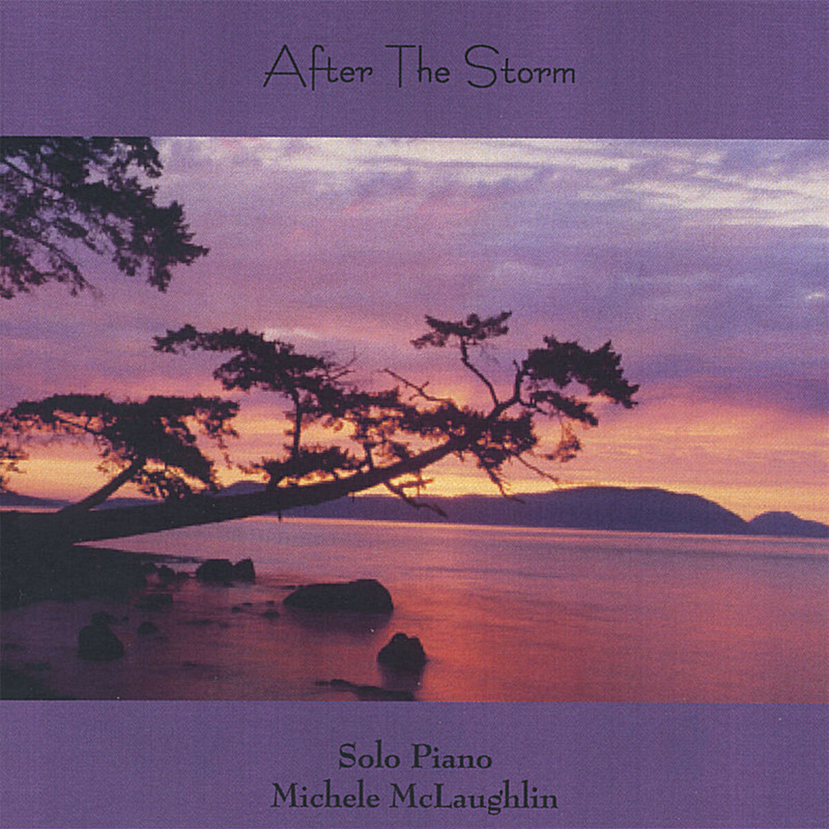 Album cover of After The Storm