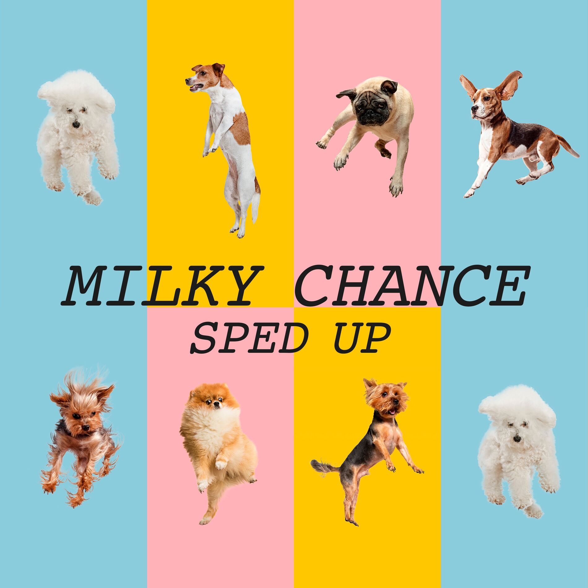 Album cover of Milky Chance Sped Up