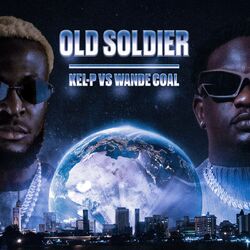 Cover of Old Soldier