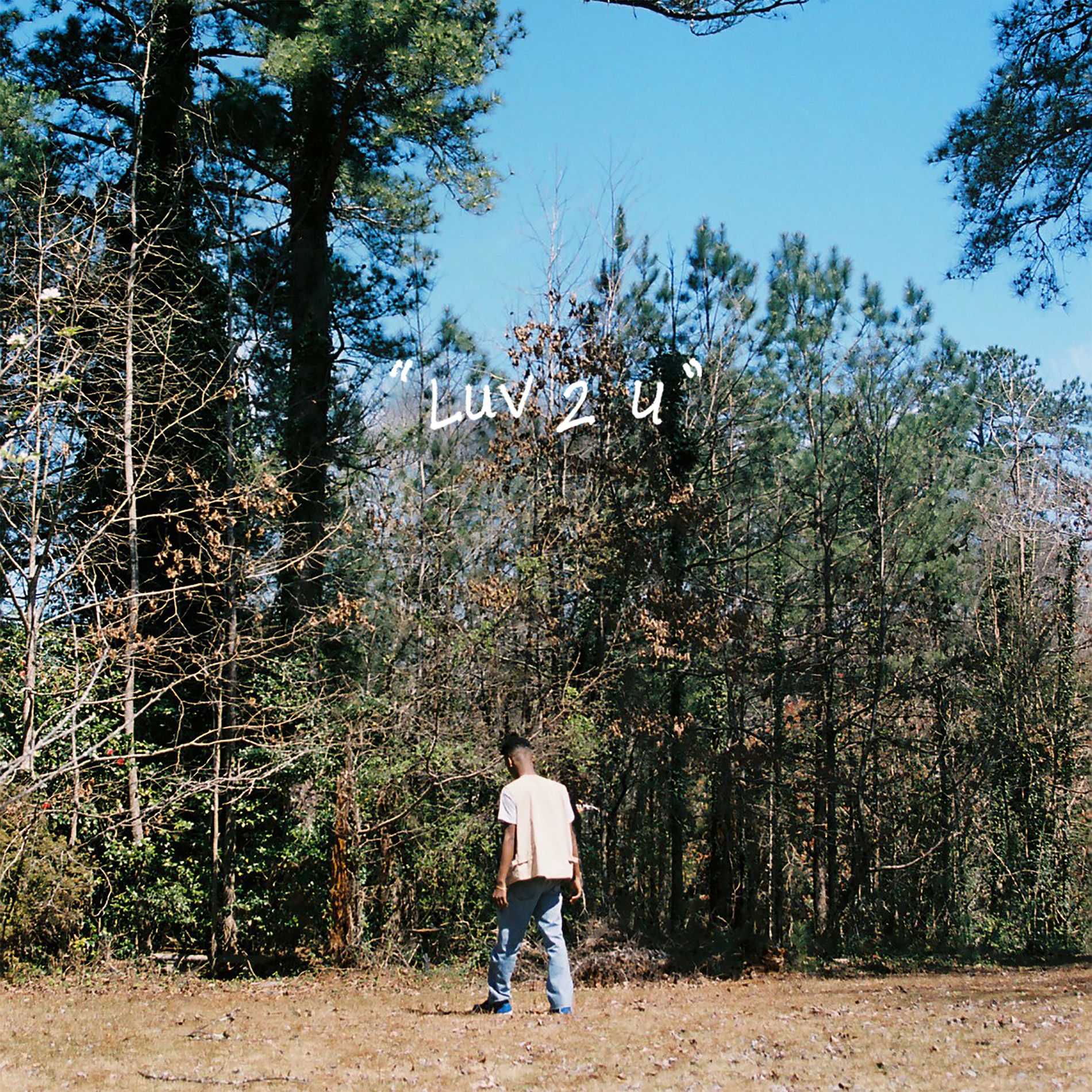 Album cover of Luv 2 U