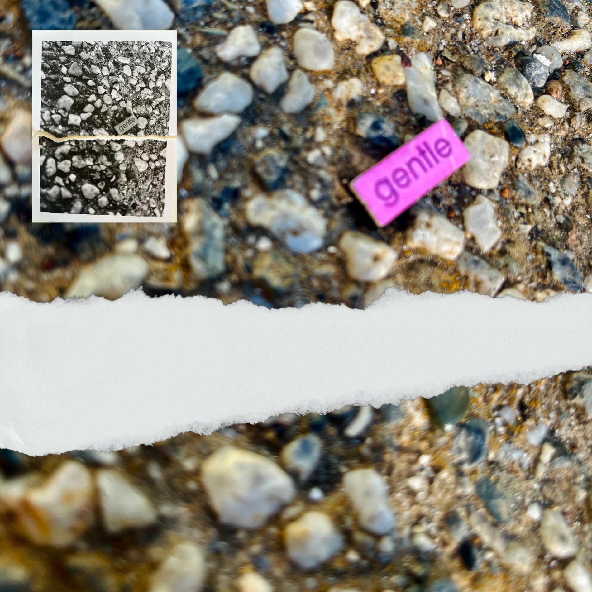 Album cover of accidental album